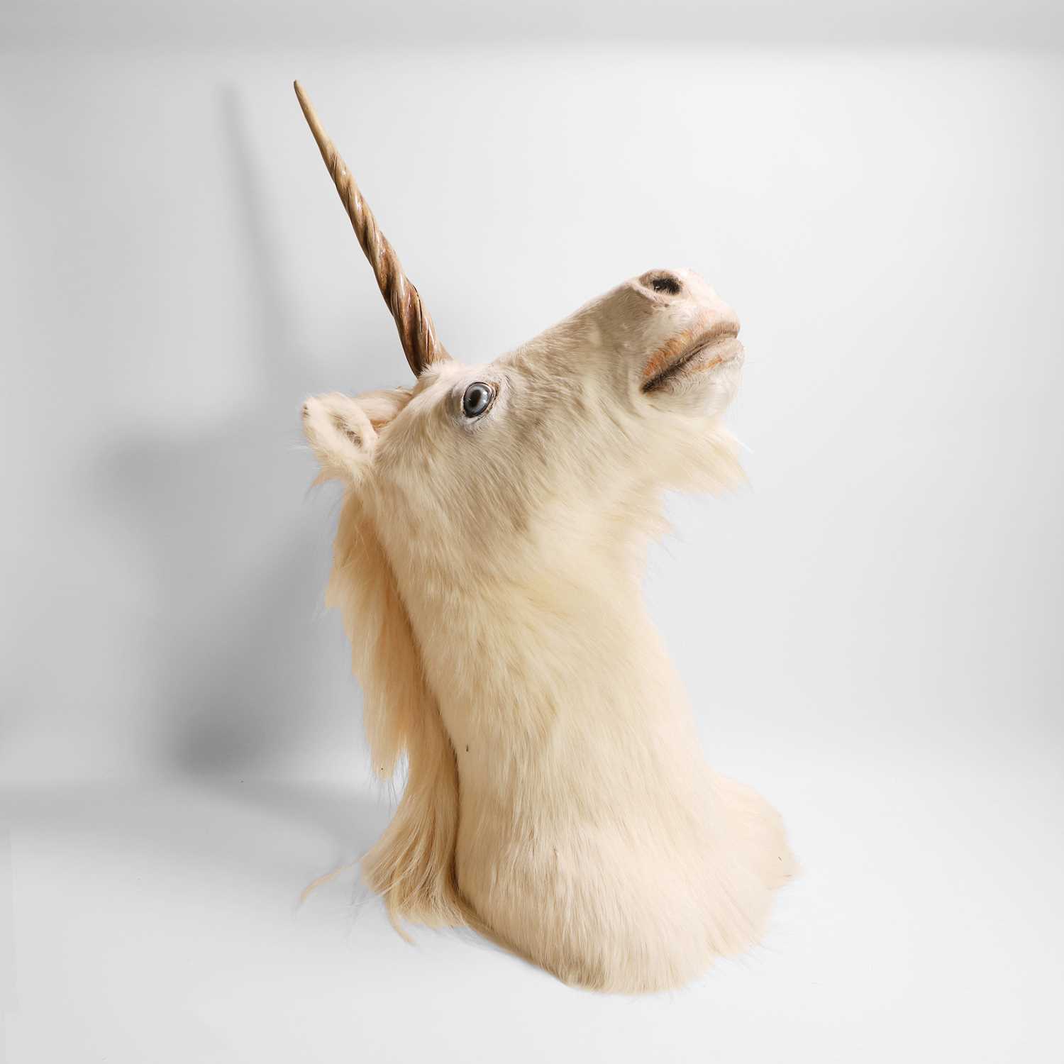 Lot 61 - Taxidermy: a unicorn head mount