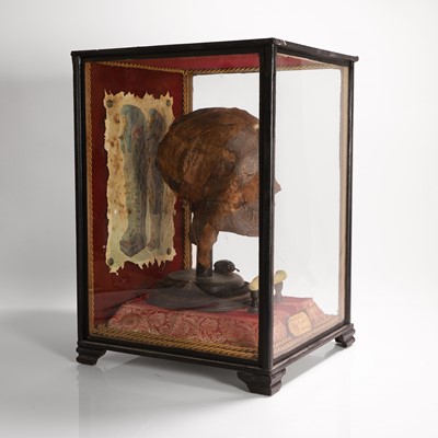 Lot 58 - A replica Egyptian mummy's head