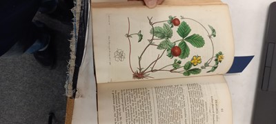 Lot 315 - EDWARDS, Sydenham: The Botanical Register
