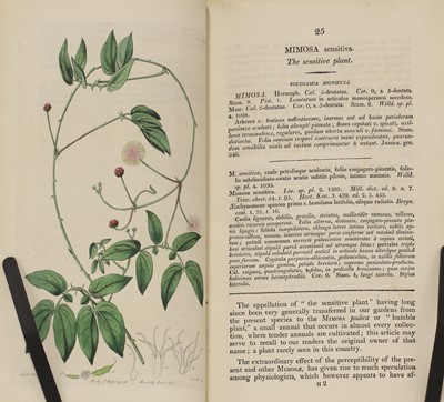 Lot 315 - EDWARDS, Sydenham: The Botanical Register