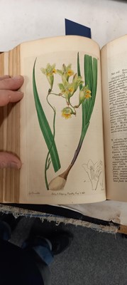 Lot 315 - EDWARDS, Sydenham: The Botanical Register