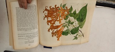 Lot 315 - EDWARDS, Sydenham: The Botanical Register