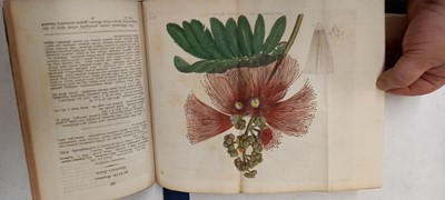 Lot 315 - EDWARDS, Sydenham: The Botanical Register