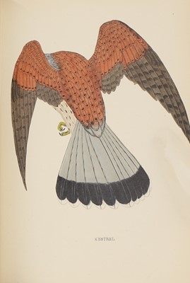 Lot 307 - Morris, F O: A History of British Birds.