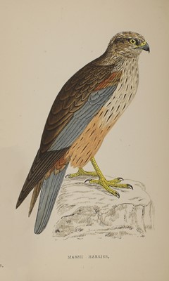 Lot 305 - Morris, F O: A History of British Birds.
