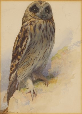 Lot 257 - Archibald Thorburn (1860-1935)