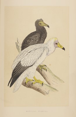 Lot 304 - MORRIS, F O