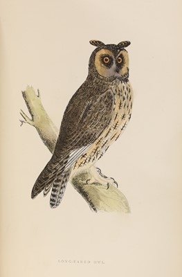 Lot 302 - MORRIS, F O