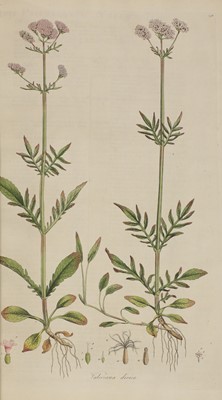 Lot 317 - CURTIS, William