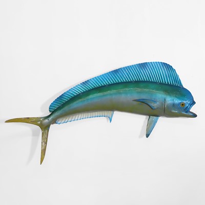 Lot 327 - Taxidermy: a mahi mahi fishing trophy