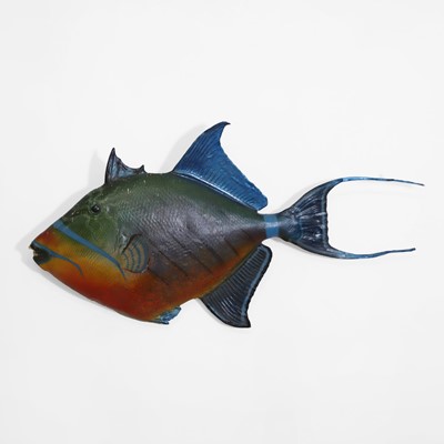 Lot 324 - Taxidermy: a triggerfish fishing trophy