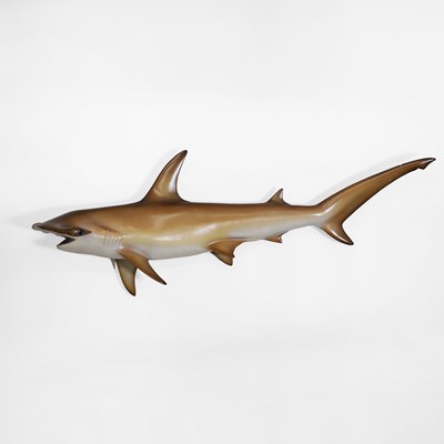 Lot 326 - A hammerhead shark fishing trophy