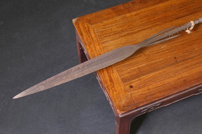 Lot 150 - An African spear
