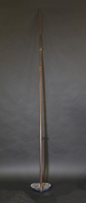 Lot 150 - An African spear