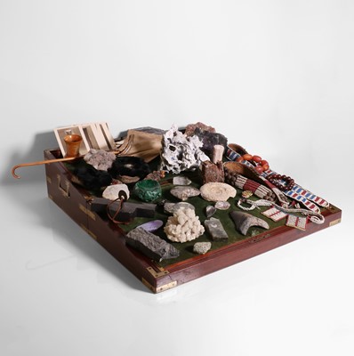 Lot 30 - A Victorian Wunderkammer collection