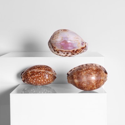 Lot 1 - A group of three silver-mounted cowrie shell snuffboxes