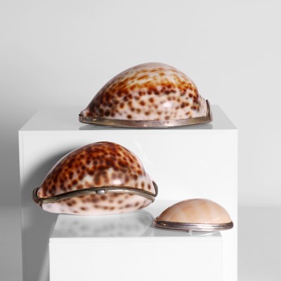 Lot 33 - Two silver-mounted cowrie shell snuffboxes