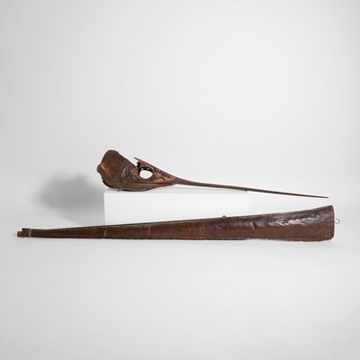 Lot 227 - Taxidermy: a swordfish head and rostrum