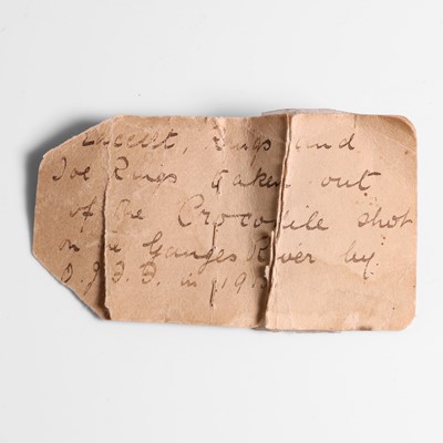 Lot 61 - A group of objects found inside a Ganges crocodile