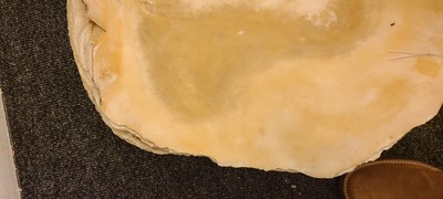 Lot 216 - A giant clam shell (Tridacna gigas)