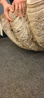 Lot 216 - A giant clam shell (Tridacna gigas)