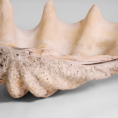 Lot 216 - A giant clam shell (Tridacna gigas)