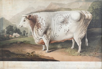 Lot 249 - Charles Turner (1774-1857), after George Christopher Horner