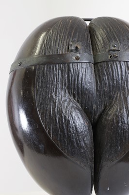 Lot 260 - A coco de mer box