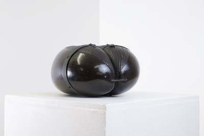 Lot 260 - A coco de mer box