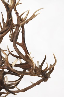 Lot 53 - A stag antler chandelier