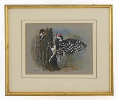 Lot 401 - Basil Ede (1931-2016)