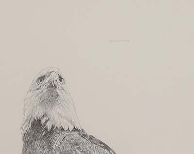 Lot 410 - Raymond Harris-Ching (New Zealand-British, b.1939)