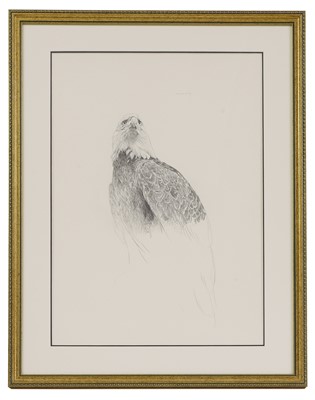 Lot 410 - Raymond Harris-Ching (New Zealand-British, b.1939)