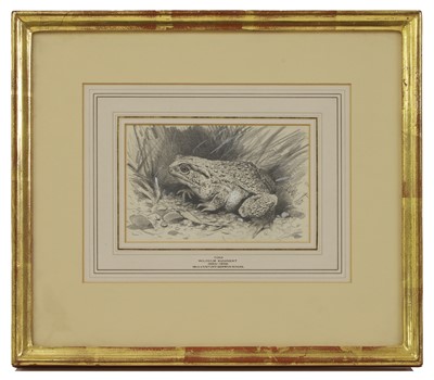 Lot 451 - Wilhelm Kuhnert (German, 1865-1926)