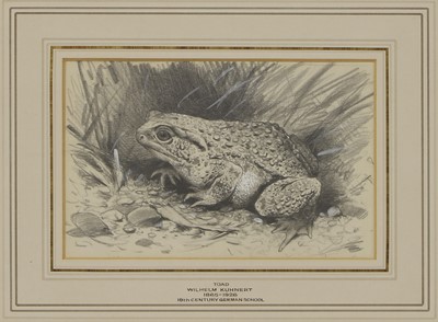 Lot 451 - Wilhelm Kuhnert (German, 1865-1926)