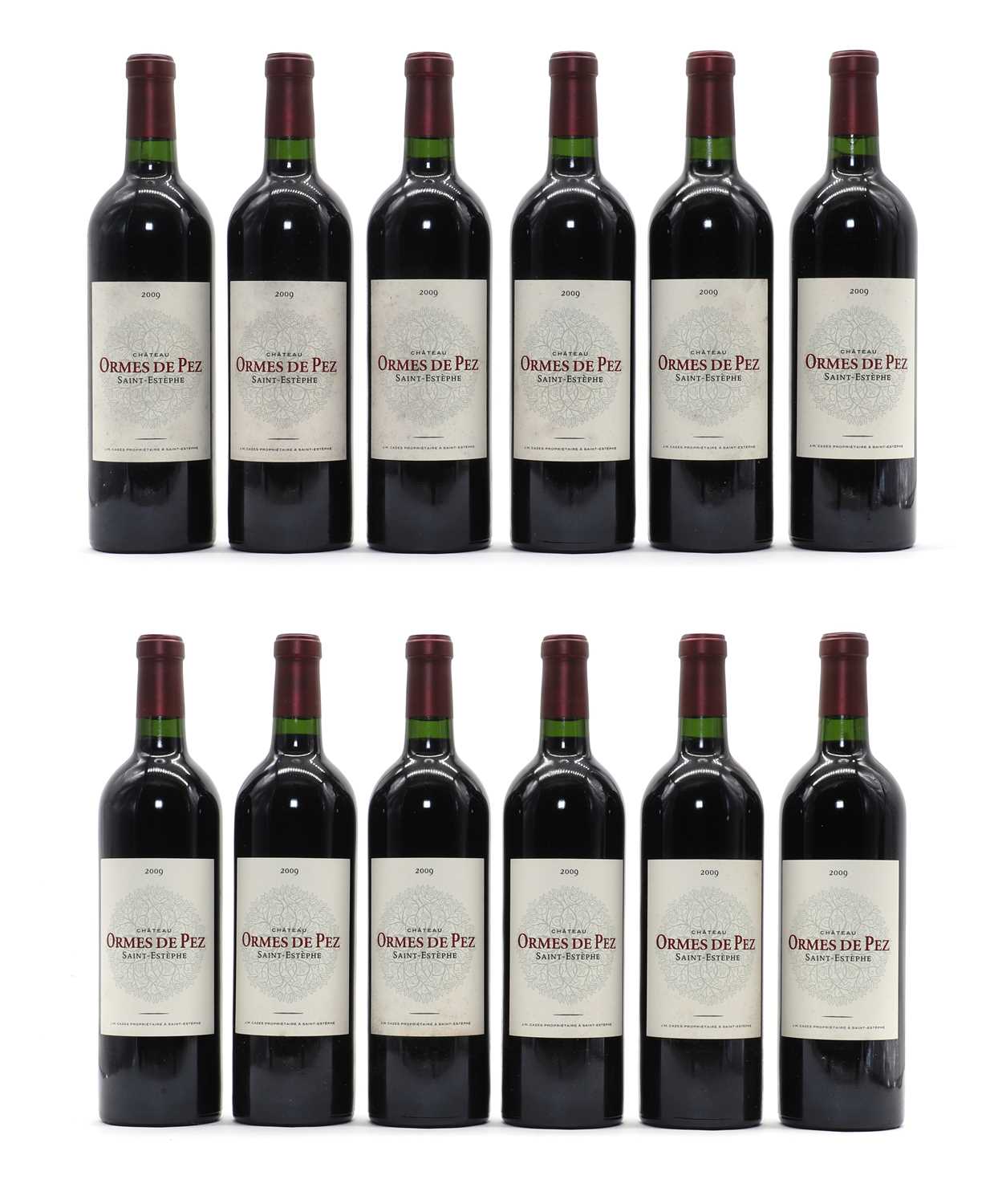 Lot 65 - Chateau Ormes de Pez