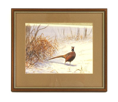 Lot 193 - Julian Novorol (b.1949)