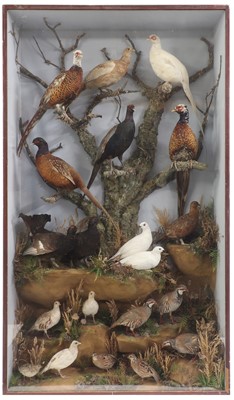 Lot 40 - A large taxidermy display