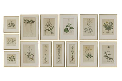 Lot 212 - William Curtis (1746-1799)