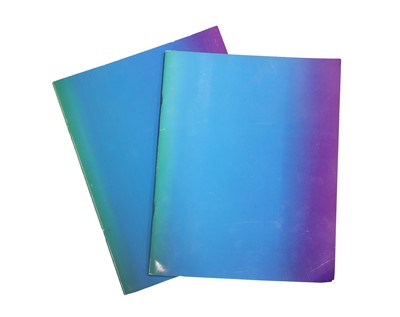 Lot 11 - Two tour books