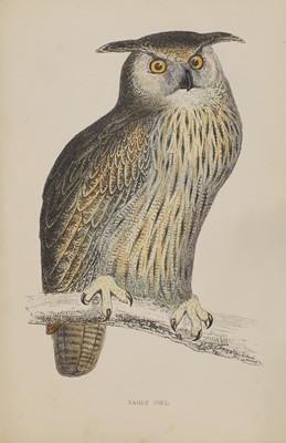 Lot 197 - Morris, F O
