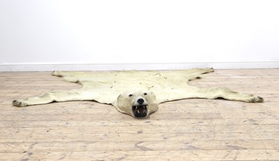 Lot 455A - A taxidermy polar bear skin rug