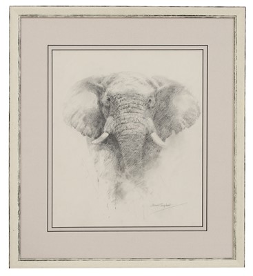 Lot 458 - David Shepherd (1931-2017)