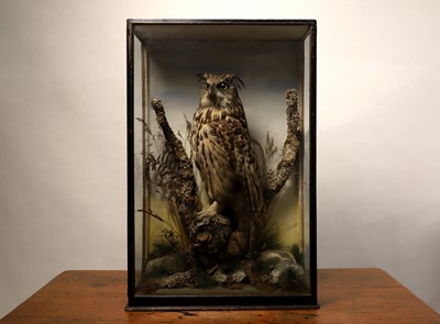 Lot 120 - Taxidermy: a Eurasian eagle owl