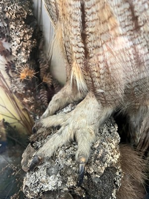 Lot 120 - Taxidermy: a Eurasian eagle owl