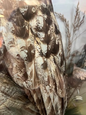 Lot 120 - Taxidermy: a Eurasian eagle owl