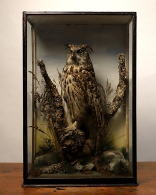 Lot 120 - Taxidermy: a Eurasian eagle owl
