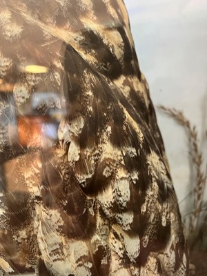 Lot 120 - Taxidermy: a Eurasian eagle owl