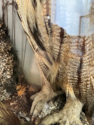 Lot 120 - Taxidermy: a Eurasian eagle owl