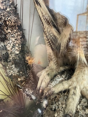 Lot 120 - Taxidermy: a Eurasian eagle owl